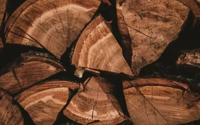 Bois de chauffage : comprendre la composition du bois pour mieux se chauffer